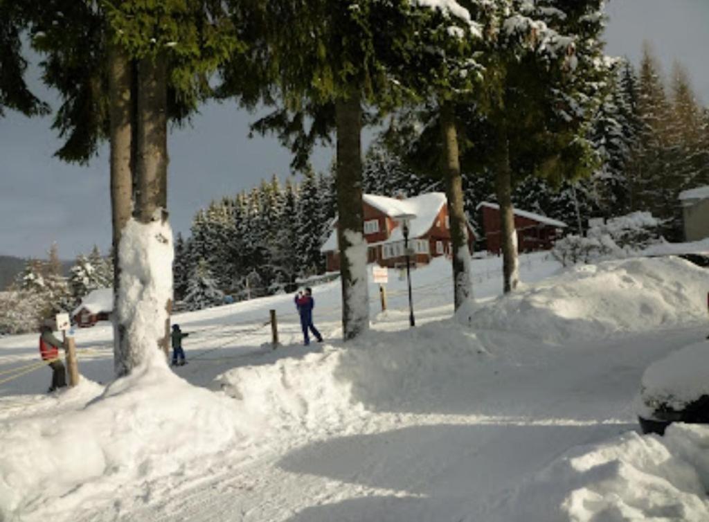 Relax Harrachov Apartments Esterno foto